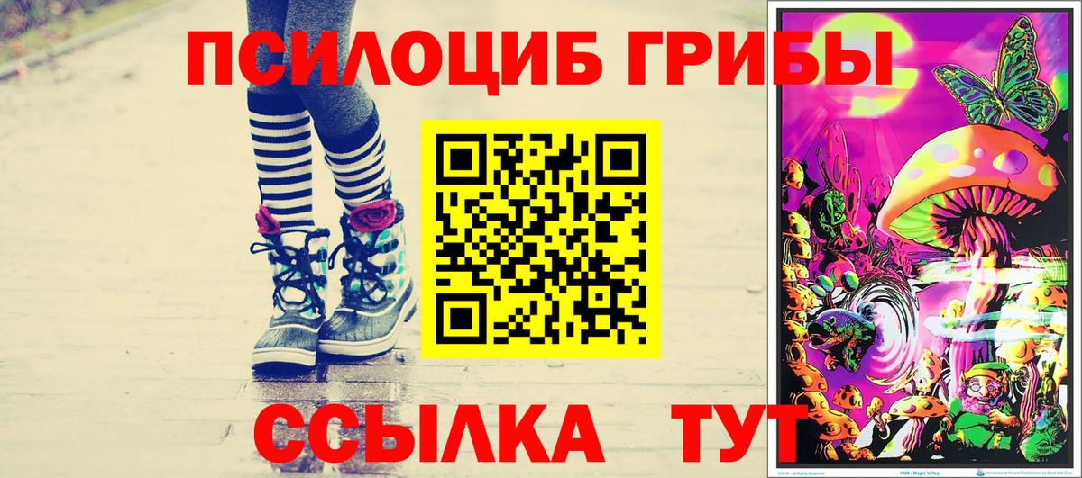 Галлюциногенные грибы Cubensis Сургут