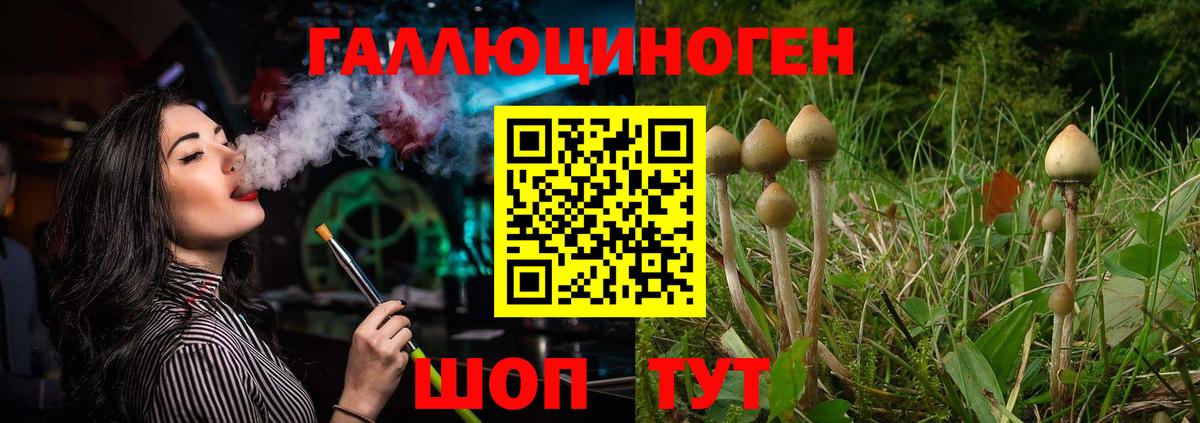 Псилоцибиновые грибы ЛСД  купить   Вход с VPN  Сургут  Галлюциногенные грибы прущие грибы 